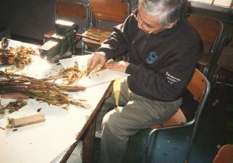 using a razor the outer bark is easily stripped off